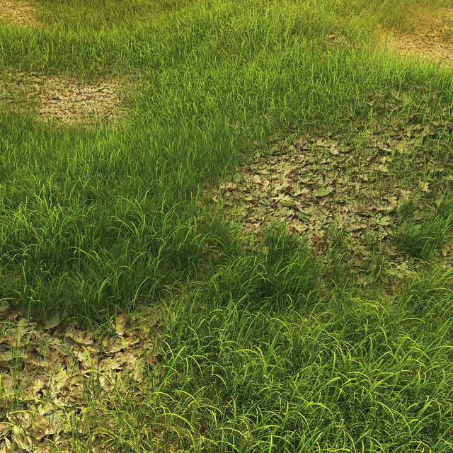 Grass with oak leaves — Descargar