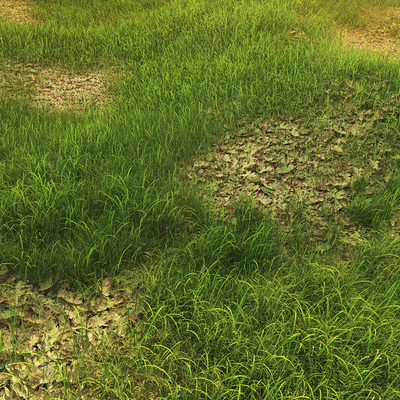 Grass with oak leaves — Ver 1