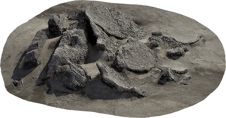 icelandic sandy volcanic rock 003 — Descargar