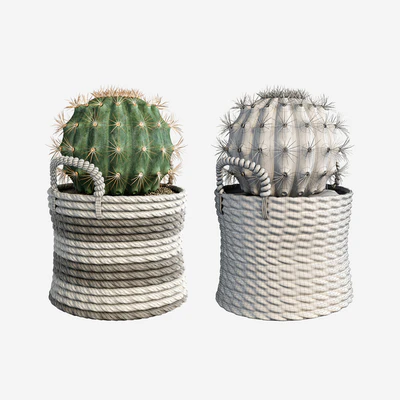 Cactus set — Ver 2