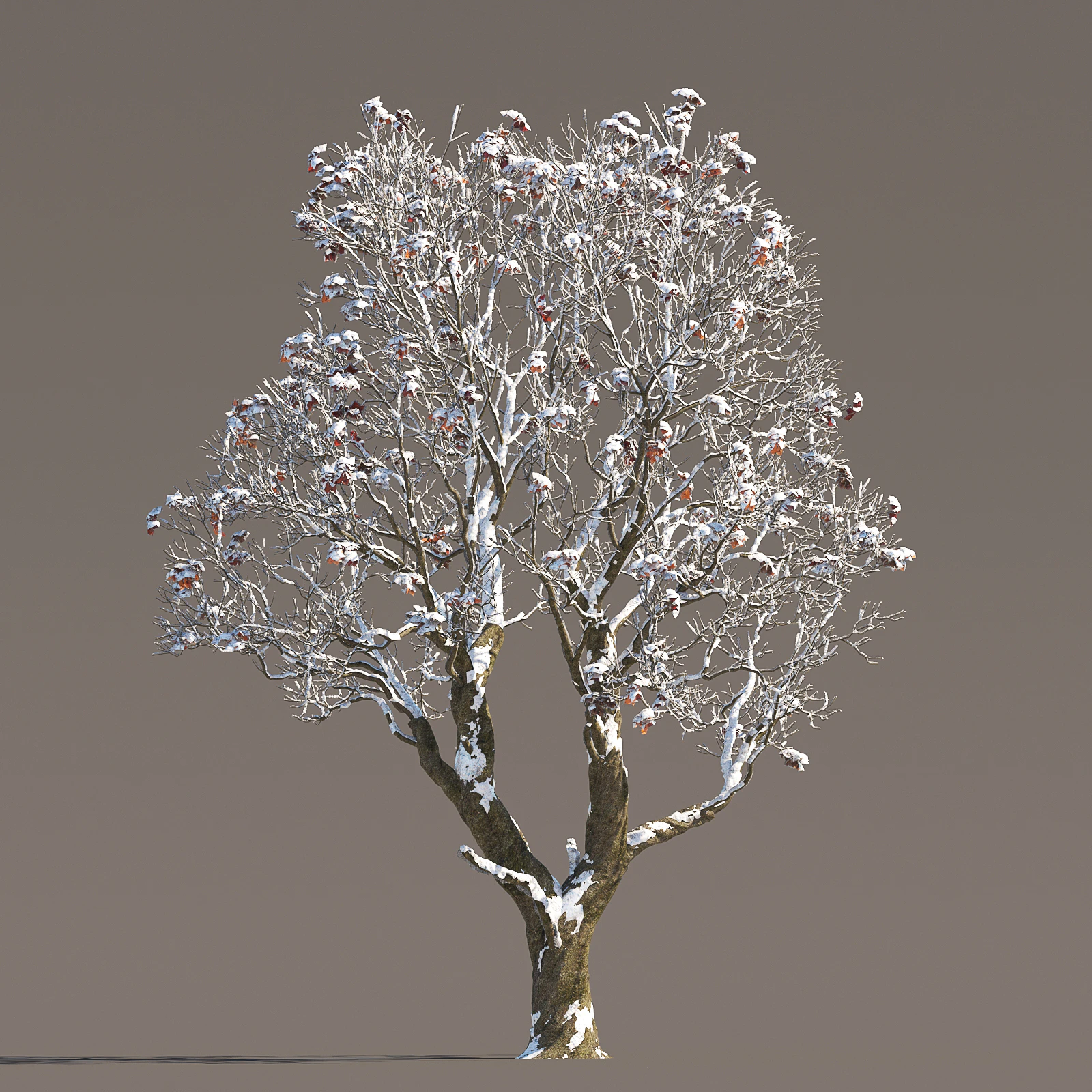 052 winter — Скачать