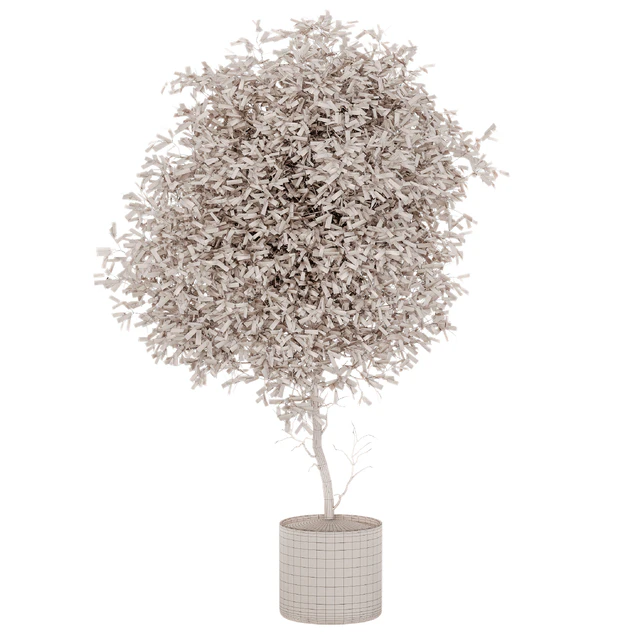 Indoor Plant Set 050 — Descargar