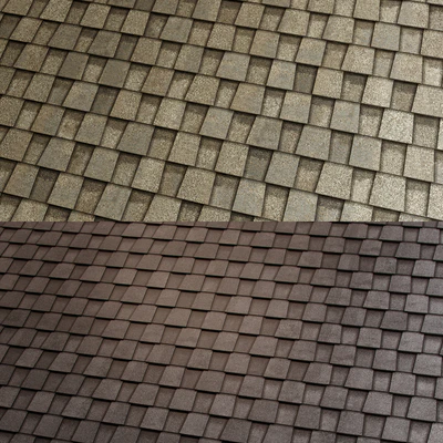 Shingles SHINGLAS (Country 02) TECHNONICOL — Ver 3