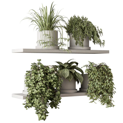 indoor Plant Set 281 - Plant pot on shelves — Ver 2