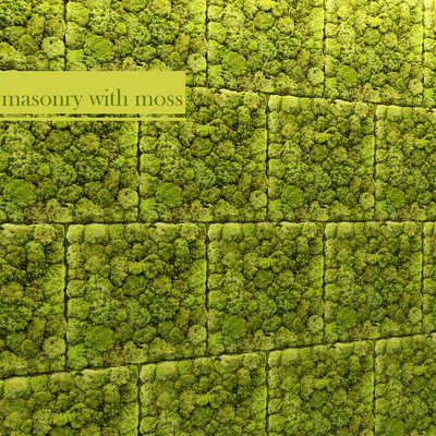 Stone and moss — Ver 1