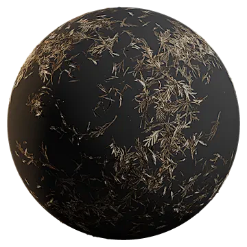 silk oak 001 — Descargar