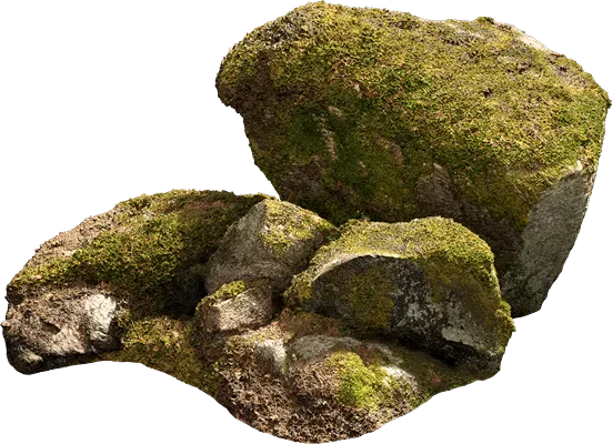 nordic forest cluster rock medium 002 — Скачать