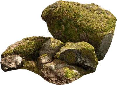nordic forest cluster rock medium 002 — Скачать