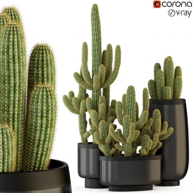 Plants collection 317 — Скачать