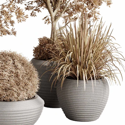 Dry Grass and Trees in a Concrete Pot - Indoor plant autumn set 570 — Вид 5