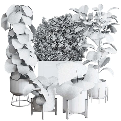 Collection indoor plant 251 ficus lyrata monstera palm in a wooden and metal pot — Ver 3