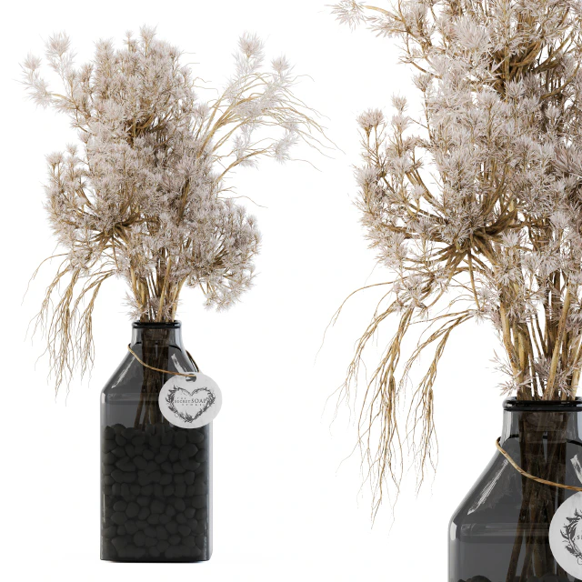 Dry plants 09 — Descargar