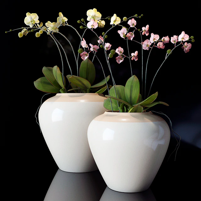 potterybarn, Orchid — Descargar