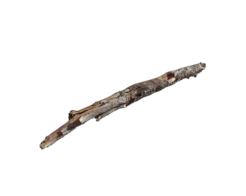 tundra dry root 001 — Скачать