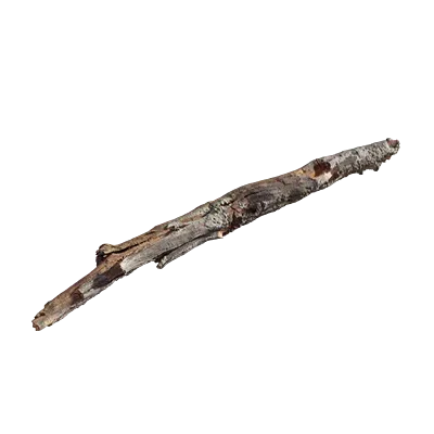 tundra dry root 001 — Скачать