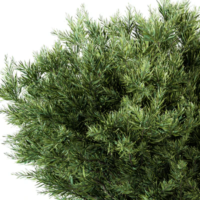 Needle Leaf Bush - Bush Set 26 — Ver 3