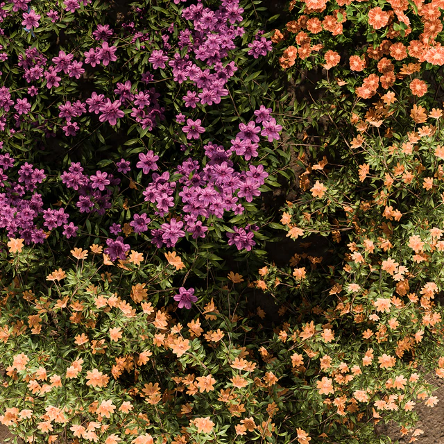 Garden Set colorful Flower Bush  - Outdoor Plants Set 424 — Скачать