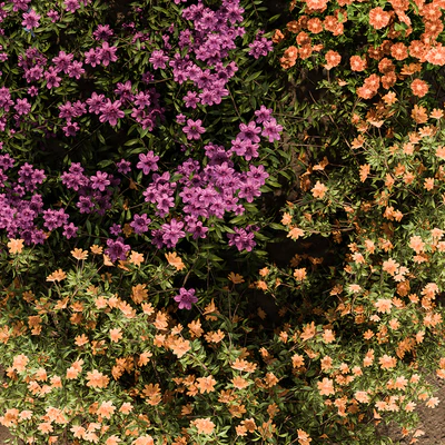 Garden Set colorful Flower Bush  - Outdoor Plants Set 424 — Вид 2