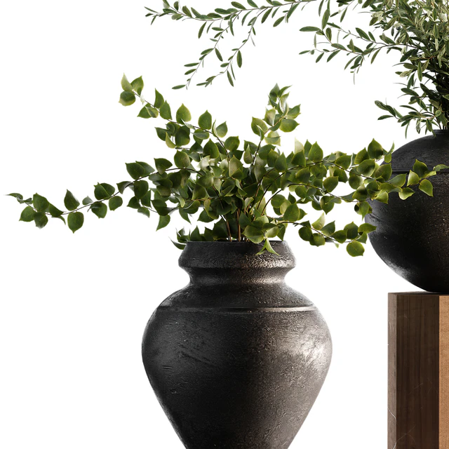 Indoor Plant Set 65 — Скачать