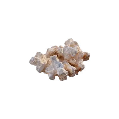 thai beach coral 010 — Скачать