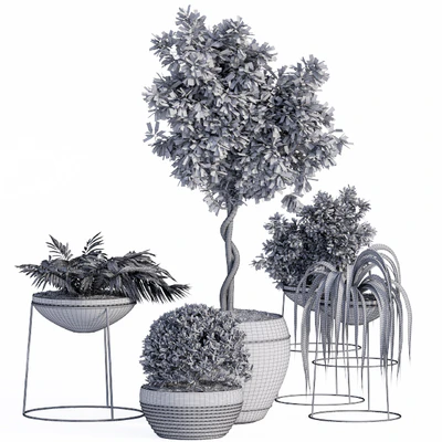 Outdoor Plants Full Set — View 4