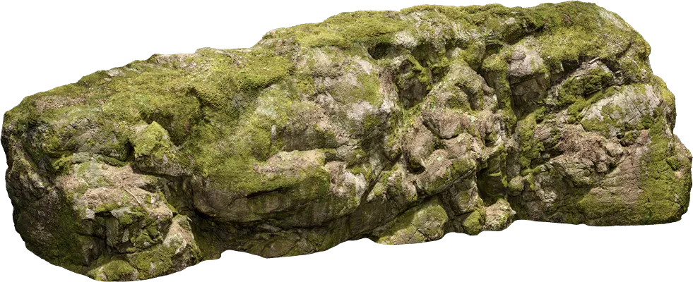 nordic forest cliff large 003 — Скачать