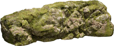 nordic forest cliff large 003 — Скачать