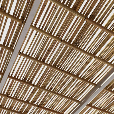 Bamboo branch decor Ceiling n21 / Ceiling from bamboo branches decor number 21 — Ver 4