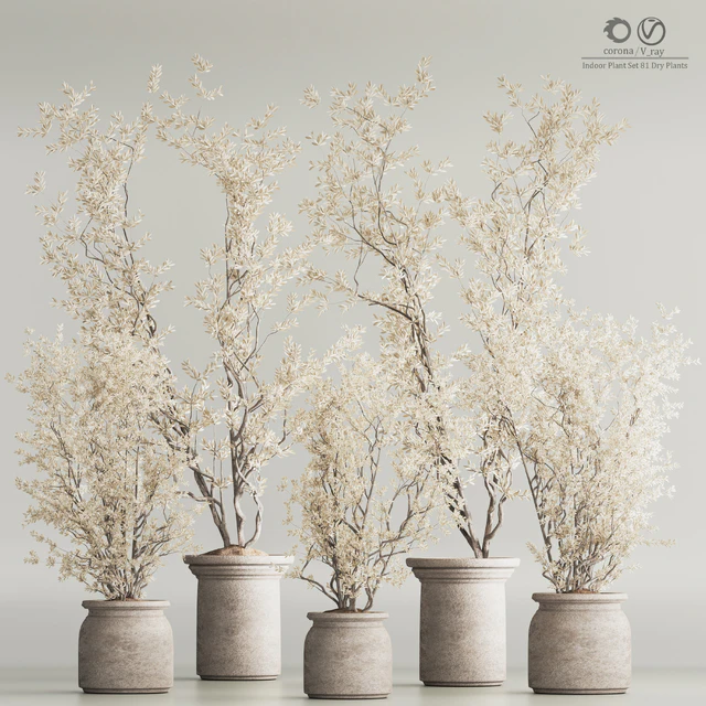 Indoor Plant Set 81 Dry Plants — Descargar