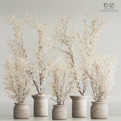 Indoor Plant Set 81 Dry Plants — Ver 1