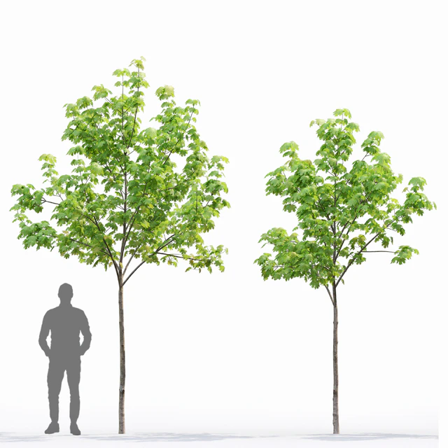 Acer — Descargar