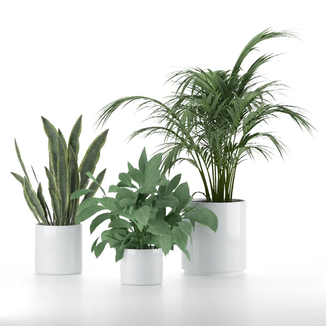 Plant-Set-001 — Descargar