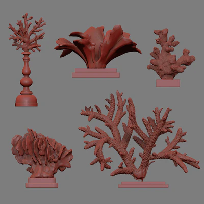 Coral Set 4 — View 4