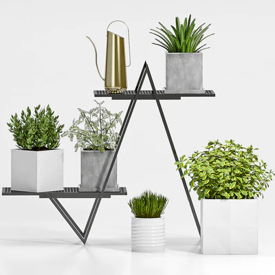 PLANT SET - 76 — Ver 2