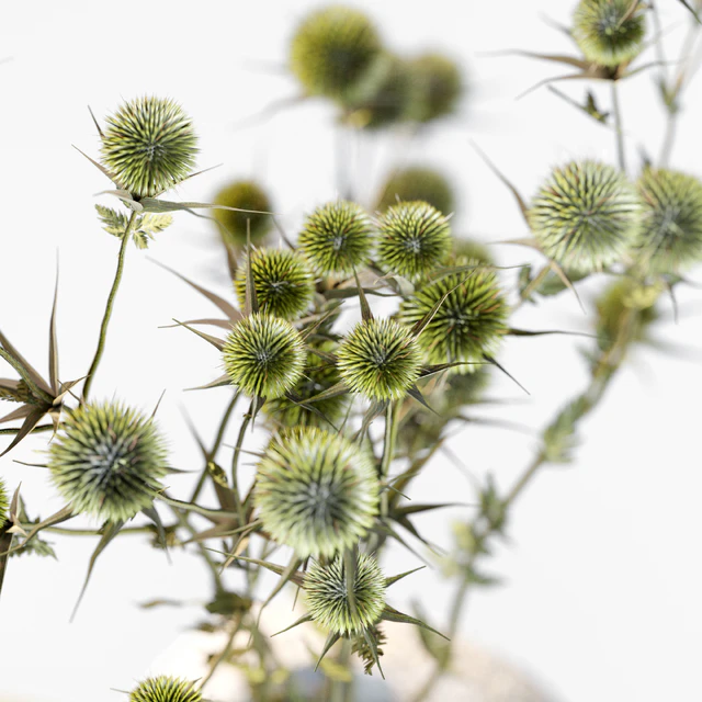 Dried flowers in stone vases — Download