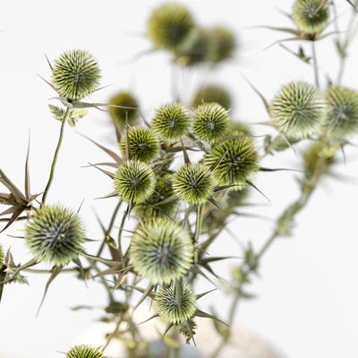 Dried flowers in stone vases — View 4