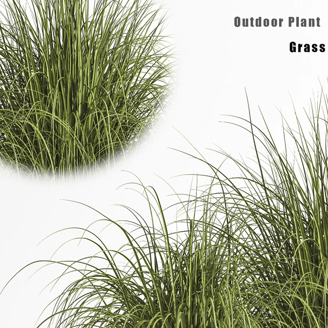 Outdoor Plant set 01 — Скачать