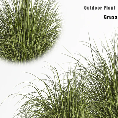 Outdoor Plant set 01 — Вид 3