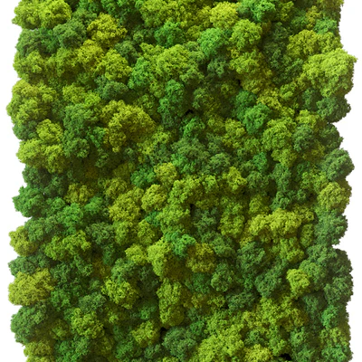 Stabilized moss — Ver 3
