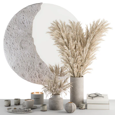 Decorative Set moon mirror with Dried Plant - Set 100 — Ver 1