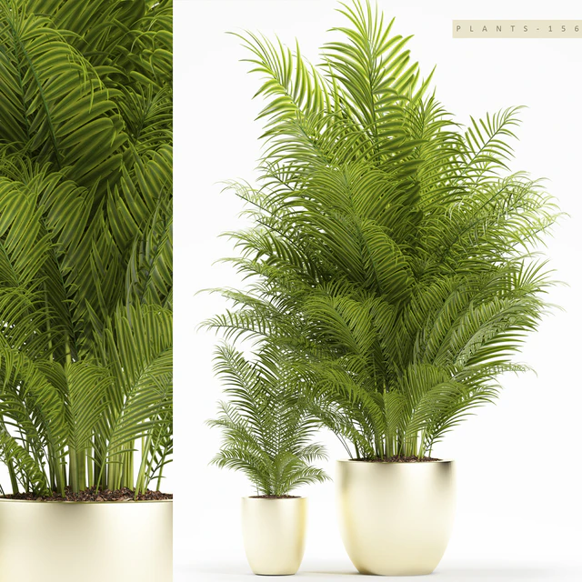 PLANTS 156 — Descargar