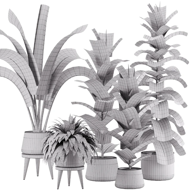indoor plant Set 12 — Скачать