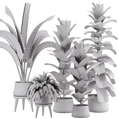 indoor plant Set 12 — Вид 6