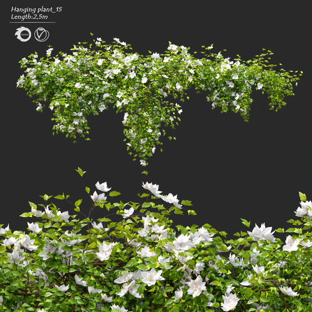 Hanging Plant 15 — Descargar
