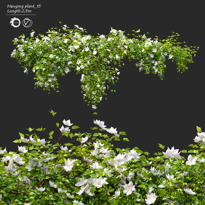 Hanging Plant 15 — Ver 1