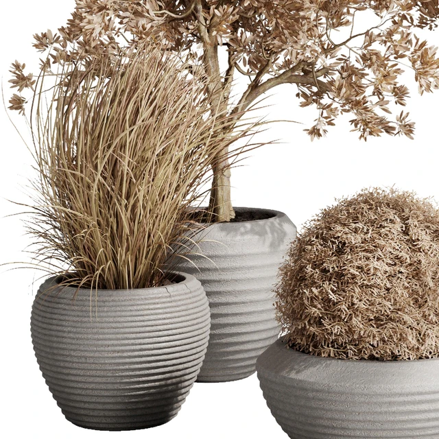 Dry Grass and Trees in a Concrete Pot - Indoor plant autumn set 570 — Скачать