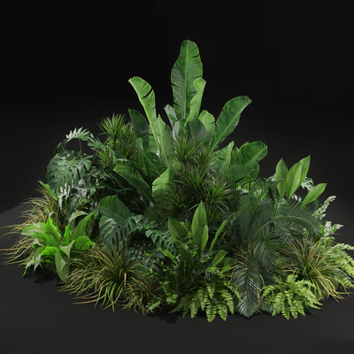 Plants collection 445 — Ver 5