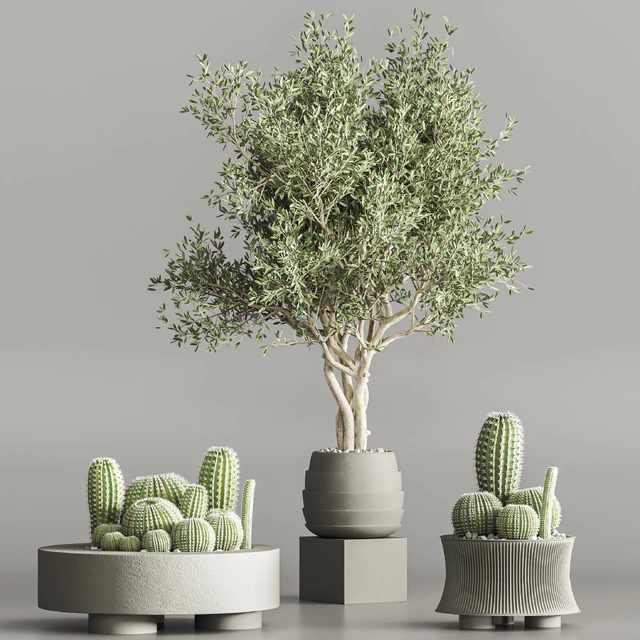Cactus & plant vol 02 — Descargar
