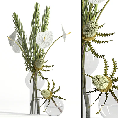 Banksia, anthurium and Leucadendron — Ver 1