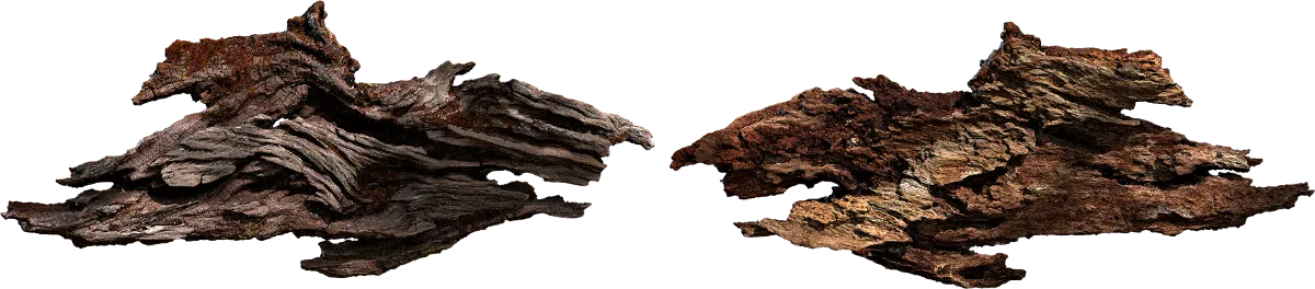chipped bark 001 — Скачать